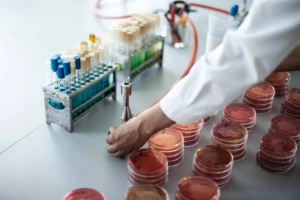 KTU Maisto instituto laboratorijoje atliekami tyrimai